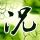 qq39bet link permainan kasino online populer Angels' Shohei Ohtani (26) lolos dari pelempar yang kalah